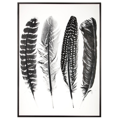 Raamitud pilt 'Feather' 60x80