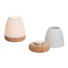 Küünlajalg 'Porcelain'